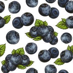 seamless blueberry pattern
