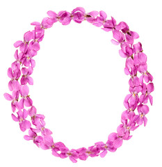 Letter O from alphabet, from flowers of violet, isolated on white background