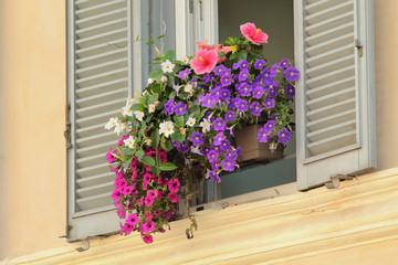 Fototapeta na wymiar Rigogliosi fiori di vari colori esposti fuori da una finestra