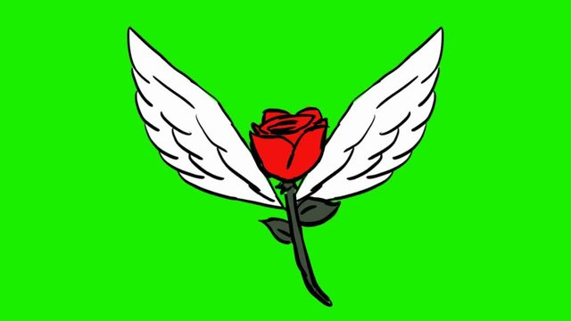 Flower - 2d animated wings - green screen