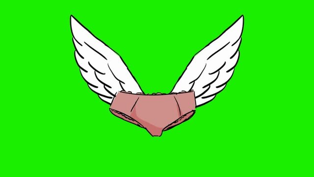 panties - 2d animated wings - green screen