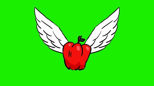 paprika - 2d animated wings - green screen