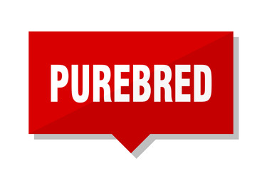 purebred red tag