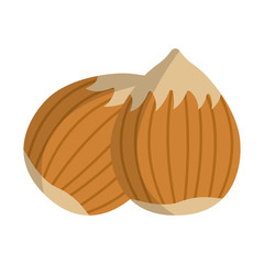 Hazelnut Icon. Food with Healthy Fats and Oils. Cartoon Vector Illustration