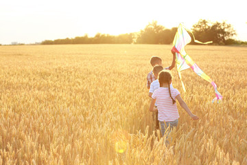 Cute little children with kite in field