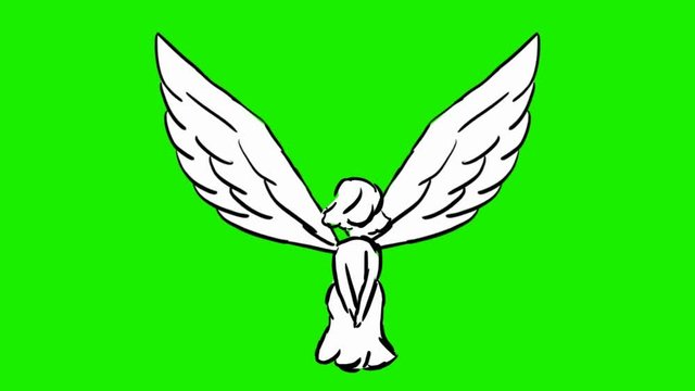angel - 2d animated wings - green screen