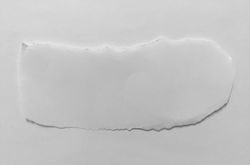 Torn rip paper texture, copy space