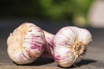 Obraz premium französischer knoblauch