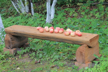 осенние яблочки