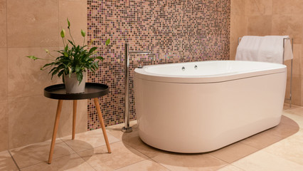 Modern bathroom setting with spa bath