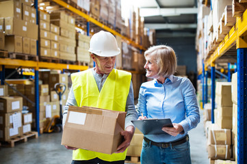 Senior woman manager and man worker working in a warehouse.