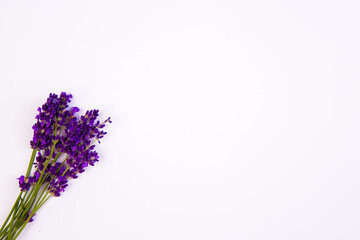 Naklejka premium Flat lay lavender on the white background