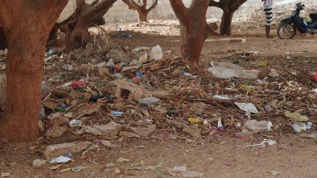 Plastic rubbish in African village. Senegal.