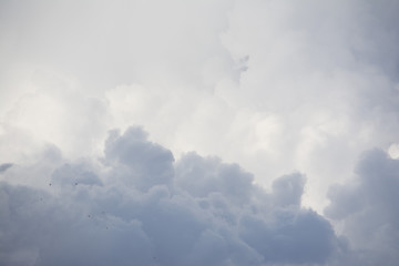 Big white and dark cloud