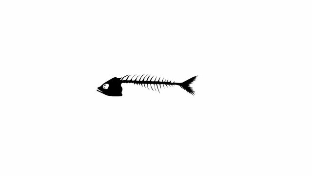 Fish skeleton (seamless loop animation)