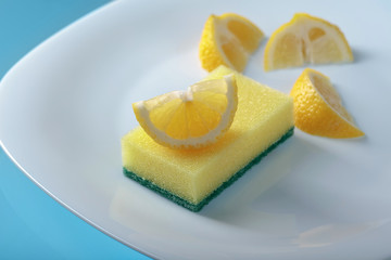 White plate and dish sponge .