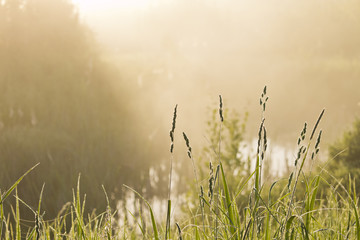 Misty morning view over the water.