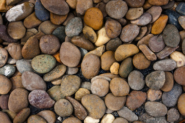 Mix color of gravel texture or background.