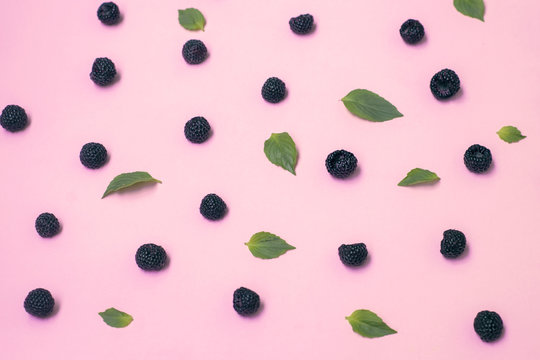 Exotic berry black raspberries on a pink background with green leaves.