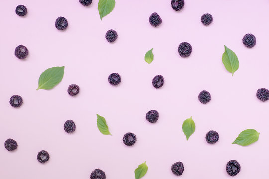 .Black summer berry on a pink tinted background.