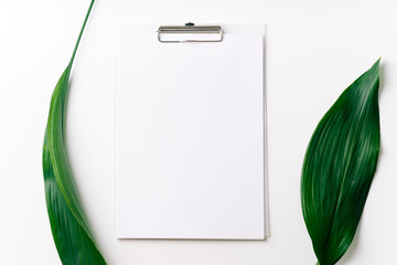 Palm leaves and a paper card with free space for text
