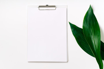 Palm leaves and a paper card with free space for text