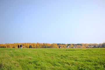 A young couple girl and a guy are walking along a field of green grass. In their hands baskets for mushrooms. On the horizon, trees with yellow foliage and village houses. Blue sky, autumn day.