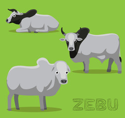 Cow Zebu Cartoon Vector Illustration