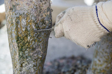 Restorer is engaged in the restoration of the statue