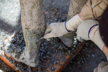 Restorer is engaged in the restoration of the statue