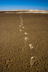 looking back, alone in the desert