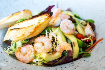 Fresh Shrimp salad with tomatoes