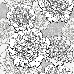 Peonies. T-shirt design. Sketched flower print in monochrome colors - seamless background. Hand-drawn vector illustration.