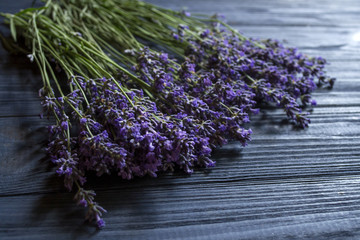 Fresh lavender flowers on dark blue wooden background.