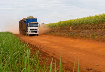 Sugar cane truck on the road