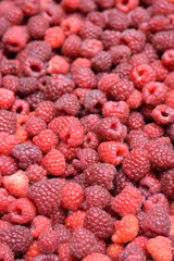Raspberries