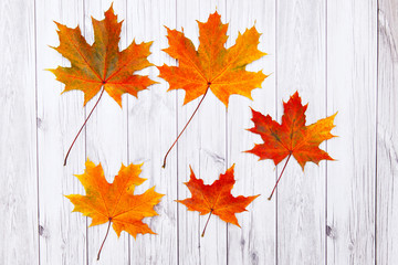 autumn leaves on wooden background with blank place for text - top view