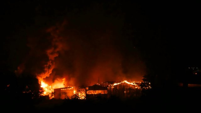 Houses On Fire In The Woods