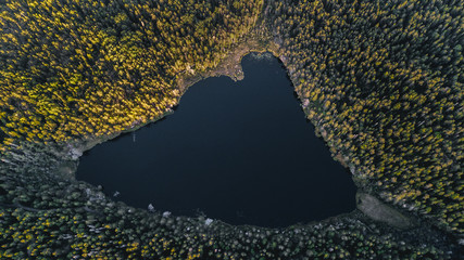 lake and forest from above