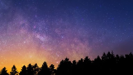 Vibrant Starscape Milky Way Time Lapse over Evergreen Trees Forest Silhouette