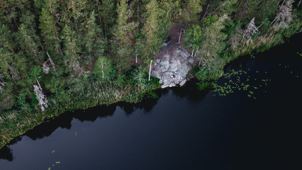 Water and trees from above