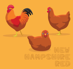 Chicken New Hampshire Red Cartoon Vector Illustration