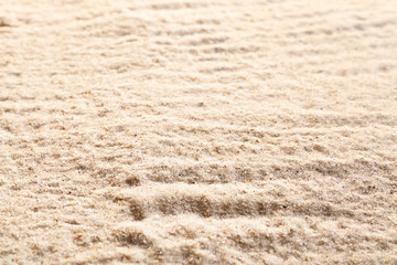 Fototapeta na wymiar Beach sand, closeup