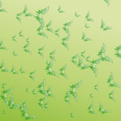 Fototapeta na wymiar green butterflies background/The picture shows a background of butterflies, butterflies on a salad background, green butterflies. Background, summer, butterflies.