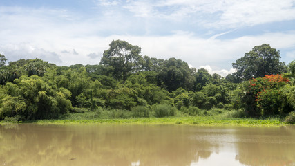 Fototapeta premium Landscape in lake. Nature background
