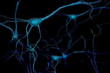 Brain neuron research concept Synapse and Neuron cells sending electrical chemical signals, brain plasticity, Synapse between two neurons neural synapse receptors neuron link neural network 3D render