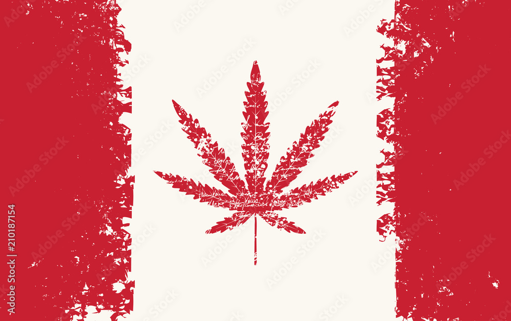 Wall mural Vector banner for legalize marijuana with hemp leaf on abstract background of canadian flag in grunge style. Natural product made from organic hemp. Smoking weed. Medical cannabis logo