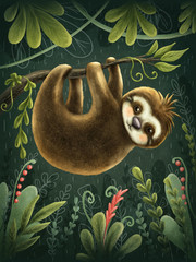 Cute sloth © Elena Schweitzer