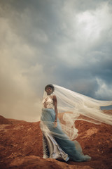 Black bride in waving long wedding dress and bridal veil stands on background of beautiful landscape.