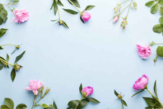 Flowers composition. Frame made of pink peony flowers on white background. Flat lay, top view.